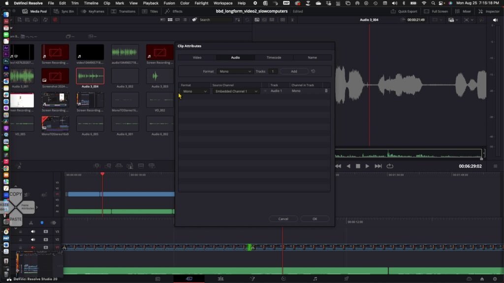 Clip Attributes audio settings in DaVinci Resolve”