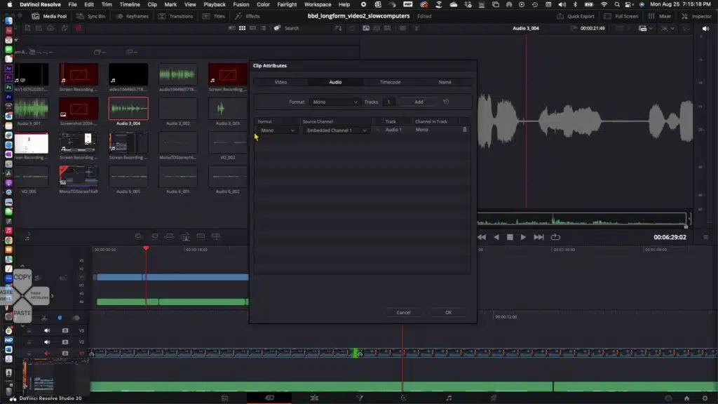 Clip Attributes audio settings in DaVinci Resolve”